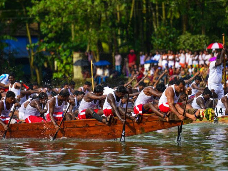 Snake Boat Race